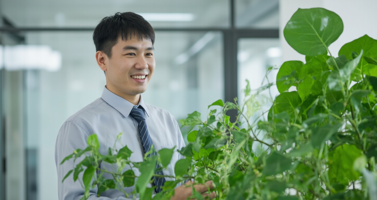 广州花木租赁：为城市添一抹绿意轮播图3