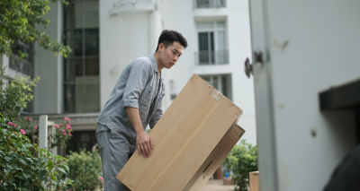 老虎搬家：一场别开生面的生态迁徙图片12