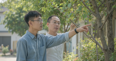 麻雀搬家歇后语背后的智慧与启示图片2
